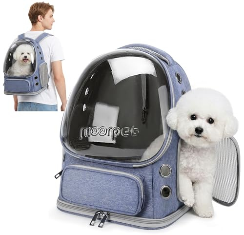 ALLSOPETS Katzenrucksack Bubble für Katzen und Kleine Hunde, Himmelblau | Atmungsaktiver und Faltbarer Haustier Rucksack mit Sicherheitsgurt, Komfortabler Transport für Katzen Kleine Hunde auf Reisen