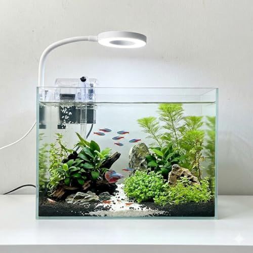 Nano-Aquarium-Set, kleines Betta-Fisch-Aquarium, 2,2 Liter, randloses Glas-Fischbecken mit Filter, Licht und Aquascaping-Dekorationen (transparent, komplett)