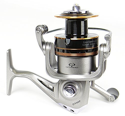 Soytich Angelrolle mit 10 Edelstahl Kugellager Rolle Stationärrollen Allroundrolle Reel (Rollen DFN), Modell:DN10F