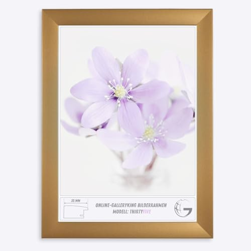 Online-GalleryKing Cadre photo en bois 65 x 65 cm carré Or uni | Photos | Affiches | Puzzles | Galerie | Cadre