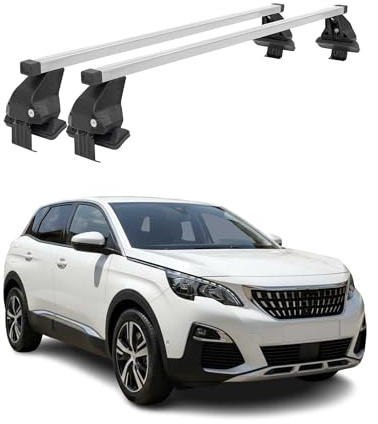 OMAC Menabo Dachträger für Toyota RAV4 2013-2015 Pre-FL Stahl Silber | DIN 75302:2019 & ISO/PAS 11154:2006 geprüft, Abschließbar, City-Crash-getestet, bis 50 kg Traglast, Querträger, Grundträger