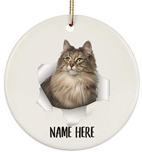 Christbaumschmuck Keramik Weihnachtsanhänger Mit Hanfseil Weihnachtsdeko Niedlicher, Personalisierter Name Der Norwegischen Waldkatze In Grau