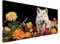 Wolf Diamond Painting Erwachsene Bilder, Diamond Painting Blume Diamond Painting Set mit Diamond Painting Zubehör, Crystal Art Basteln Erwachsene, Deko Wohnzimmer, Geschenke Frauen 100x200cm Y2-511