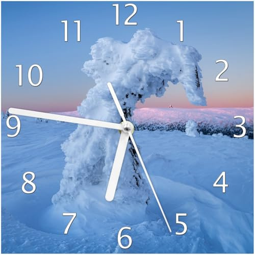 Wallario Design-Wanduhr Schneeskulptur aus Glas, Motiv-Uhr Größe 20 x 20 cm, weiße Zeiger