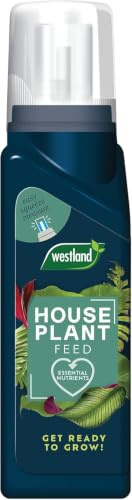 Westland Houseplant Feed Concentrate 200ml Liquid Plant Food NPK 6-4-7 | Concentrated NPK 6-4-7 liquid plant food with seaweed and potash for feeding houseplants throughout the year