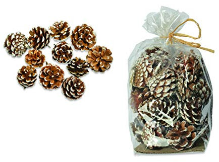 Riffelmacher & Weinberger Zapfenmischung Schwarzkiefer Natur/weiß 5 cm | Zapfen Deko Weihnachten Winter | Weihnachtsdeko Tischdeko Dekozapfen