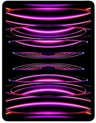 2022 Apple 12,9 iPad Pro (Wi-Fi, 1 TB) - Space Grau (6. Generation)