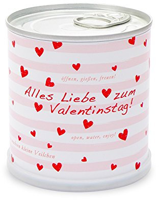 Blumengrüße aus der Dose - Valentinstag Herzchen mit Veilchen