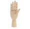 Handmodell aus Holz, Mannequin Hand Flexibel Bewegliche Finger, Ideal für Kunst, Zeichnen, Skizzieren, Malen (2)