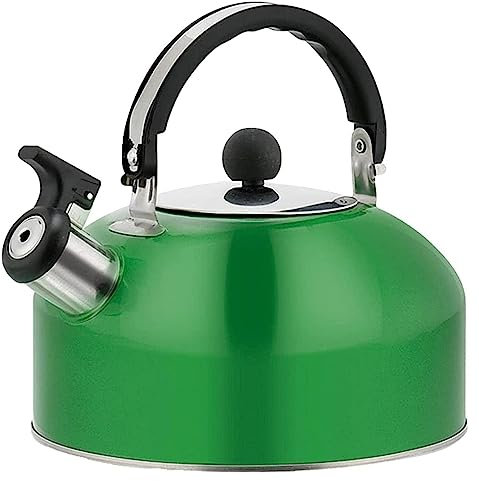 Bollitore Teiera Induzione Bollitore A Fischio Da 3 Litri Bollitore Da Piano Cottura In Acciaio Inossidabile Con Manico Teiera Portatile Da Esterno Per Cucina A Gas O Stufa Bollitore Per Stufa A Legna