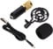 Annadue BM800 Wired Condenser Microphone, XLR to 3.5mm Desktop Cardioid Microphone Set, with Shockproof Mount, for Broadcast Recording, Games, Voice Chat, etc(black gold)