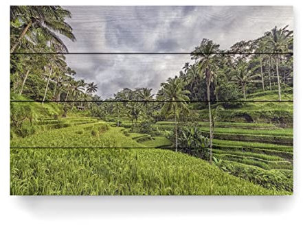artboxONE Holzbild 60x40 cm Natur Bali-Terrassen von Künstler Manjik