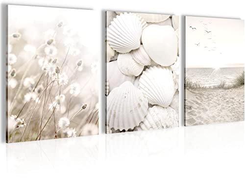 FERTIG ZUM AUFHÄNGEN - Wandbilder Set Muscheln Sand - Collage XXL Wohnzimmer N001735a