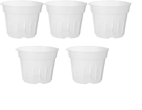 PETSTIBLE Paquete de 5 macetas de orquídeas con agujeros de plástico transparente para orquídeas, pequeñas, medianas, grandes, XL, para interiores