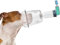 ICARE-PET Haustier-Aerosol-Inhalatorkammer für alle Katzen und kleine Hunde, von Haustieren entworfene Silikonmaske, passend für alle Katzen, Inhalator für Katzen und Kätzchen (Großer Hund)