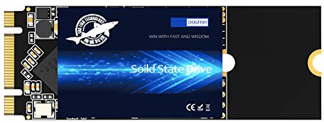 SSD M.2 2260 1TB Dogfish Ngff Interne Solid State Drive Hochleistungs-Festplatte für Desktop Laptop SATA III 6Gb/s inkl. SSD (1TB M.2 2260)