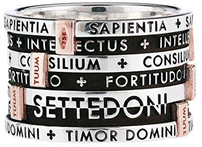 Tuum Ring 7 aus brüniertem 925er Silber und Roségold 18 kt, Größe 56, Gold, Roségold, Silber, Kein Edelstein