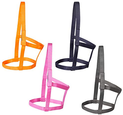 PFIFF 102920 Weidhalfter Joky, Weide Paddock, Ohne Beschläge, Nylon, Grau, Pony