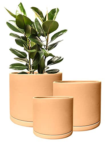 Olly & Rose Rome Lot de 3 Pots de Fleurs Ronds en Terre Cuite avec soucoupes pour intérieur et extérieur