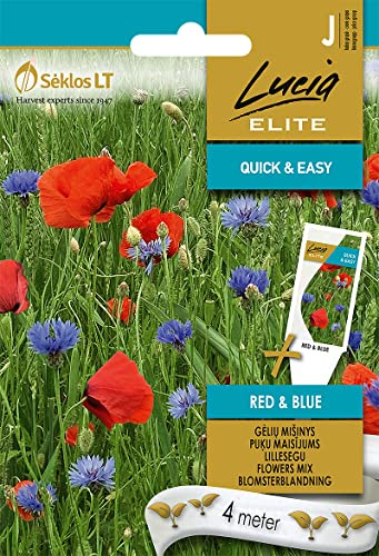 Lucia Elite | BLUMENMISCHUNG RED & BLUE samen | Blumensamen | Pflanze samen | Eine Mischung von roten und blauen Pflanzen - Mohn und Kornblumen | Gardensamen | 1 Pack