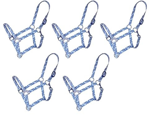 Brama West Halfter Set Pferd Magic Horses Pferdehalfter 5 Stück (Shetty)