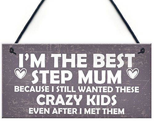 Red Ocean Best Stepmum Crazy Kids Novelty Hanging Plaque Gifts For Mum Birthday Present
