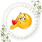 Fondant Tortenaufleger Tortenbild Geburtstag Motiv Emoji Nr. 6