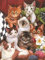 Puzzle 500 Teile Erwachsene Katzen 52 x 38 cm Puzzles für Erwachsene Lernspiel Herausforderungsspielzeug 500-teilige Katzen Puzzles