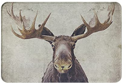 Türmatte Elch Schmutzfangmatte Personalisierte Fußmatte Außen Stylisch Küchentürteppich, Für Haustür, Flur, 60 x 40cm