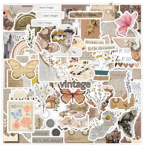 60 Pezzi Stickers Aesthetic, Vinile Adesivi Vintage per Scrapbook, Laptop, Bottiglia D'acqua (C)