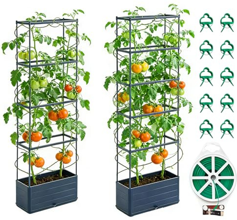 Guiwuiyu 2 Pack Raised Garden Bed Planter Box with Trellis, 55” Raised Beds for Garden Tomato Cage for Climbing Vegetables Plants Flowers, Self-Watering Tomato Planter with trellis Outdoor & Indoor