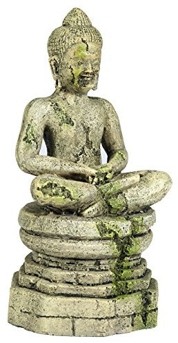 Pet Ting Buddha Aquatic Ornament – Aquarium Dekoration – Vivarium Dekoration