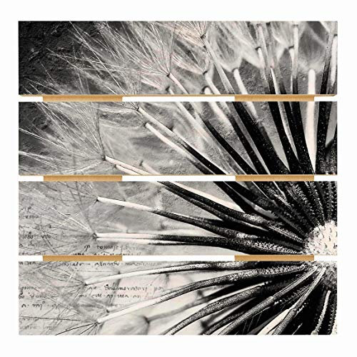 Bilderwelten Holzbild - Pusteblume Schwarz & Weiß Quadrat 48cm x 48cm