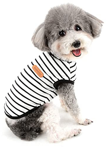 Zunea Sommer-Hunde-Shirts für Kleine Hunde Gestreifte Atmungsaktive Weste T-Shirts Weiche Baumwolle Welpen Kleidung Haustier Katzen Ärmelloses Tank Top Chihuahua Basic Tee Shirt Bekleidung Schwarz XS
