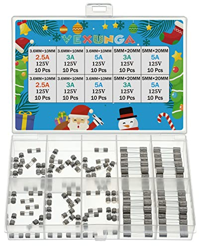 VEXUNGA 5 Werte 100 Stück 125V Sicherungen Set für Weihnachtslichter 5x20MM Sicherung 3A 5A 125V Schmelzsicherung und 3,6x10MM ts-66 2,5 3 5 Ampere Mini Glassicherungen Feinsicherung Sortiment
