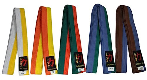 Chikara Karate Gürtel Zweifarbig (Blau/Braun, 280)