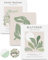 HesenDot Unframed Matisse Wall Art Set of 3,30x40CM Sage Green Wall Decor Exhibition Posters,Abstract Botanical Canvas Prints,Boho Home Decoration for Bathroom Living Room Bedroom Office