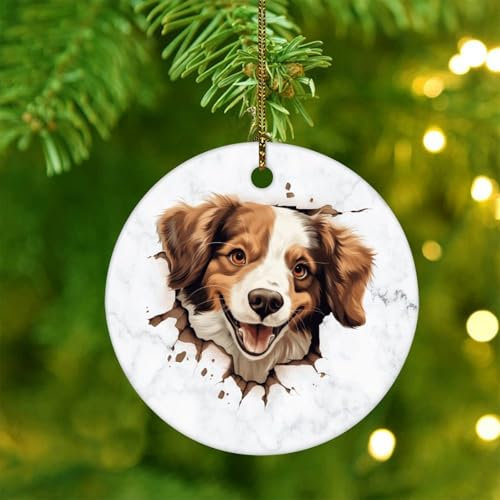 Kooikerhondje Weihnachtsdekoration, rund, aus Keramik, für Weihnachtsbaum, Dekoration, Anhänger, Kugel, Haustier, Hund, Andenken, Winter-Andenken, Neujahrssouvenir