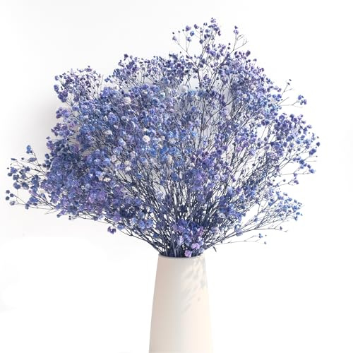 40cm Schleierkraut getrocknet 80g Natürlich Gypsophila Trockenblumen Blütenknospe Echt Trockenblumenstrauß für Hochzeit Brautsträuße Vasen Pampasgras Deko(Sapphire Blue)