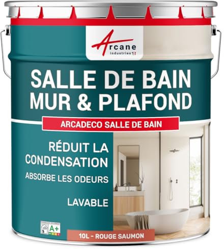 ARCANE INDUSTRIES Peinture Salle de Bain Mur et Plafond, Condensation - 10 L Rouge Saumon - RAL 3022