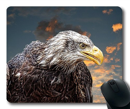 (genaue - Kante - Mousepad) Adler, Raptor Gaming - Maus