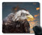 (genaue - Kante - Mousepad) Adler, Raptor Gaming - Maus