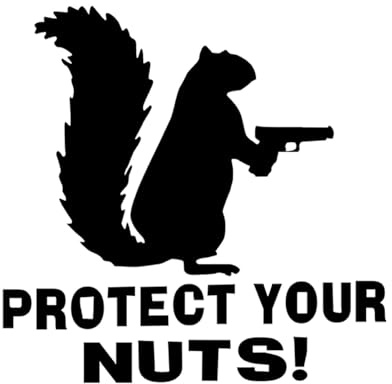 Protect Your Nuts Aufkleber | Eichhörnchen gestanzter Fensteraufkleber | Eichhörnchen Stoßstangen-Aufkleber , Auto-Fensteraufkleber, Dekoration, Cartoon-Laptop-Aufkleber für Van, Autos
