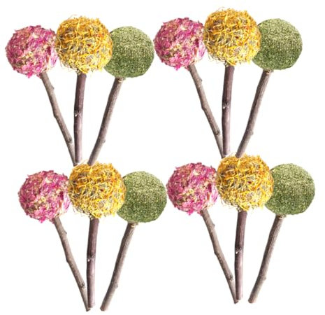 ifundom 12stücke Nager-kauspielzeug Für Meerschweinchen Und Kaninchen Blumen-zahnpflege- Natürlichen Materialien Für Gesunde Zähne Und Spielspaß