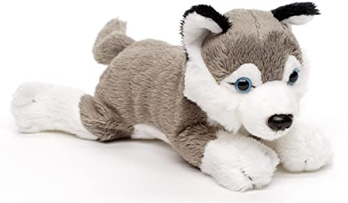 Uni-Toys - Husky Plushie (ohne Leine) - 22 cm (Länge) - Plüsch-Hund, Haustier - Plüschtier, Kuscheltier