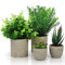 BELLE VOUS Pack de 4 Plantas Artificiales Decorativas en Macetas para Interior - Eucalipto, Sansevieria y Suculenta - Plantas Decorativas Artificiales Oficina, Escritorio/Mesa, Dormitorio o Cocina