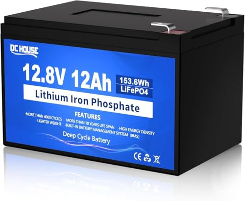 DCHOUSE Batterie lithium 12V 12Ah LiFePO4 avec BMS 15 A, durée de vie de 10 ans, plus de 4000 cycles, pour bateau, jouet à enfourcher, moteur de pêche à la traîne, kayak, roues motorisées