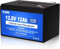 DCHOUSE Batterie lithium 12V 12Ah LiFePO4 avec BMS 15 A, durée de vie de 10 ans, plus de 4000 cycles, pour bateau, jouet à enfourcher, moteur de pêche à la traîne, kayak, roues motorisées