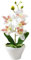 Generic Fausse orchidée 5 têtes d'orchidées artificielles en Pot,26,7 cm,Fleurs artificielles dans Un Vase,orchidée Phalaenopsis avec Vase pour Centre de Table,décoration de Mariage