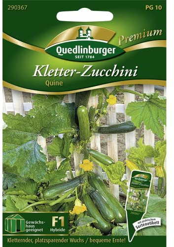 Quedlinburger Saatgut - Kletterzucchini Quine Samen